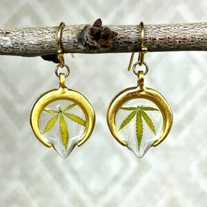 Real Pressed Marijuana Leaf Earrings with Gold Moons
